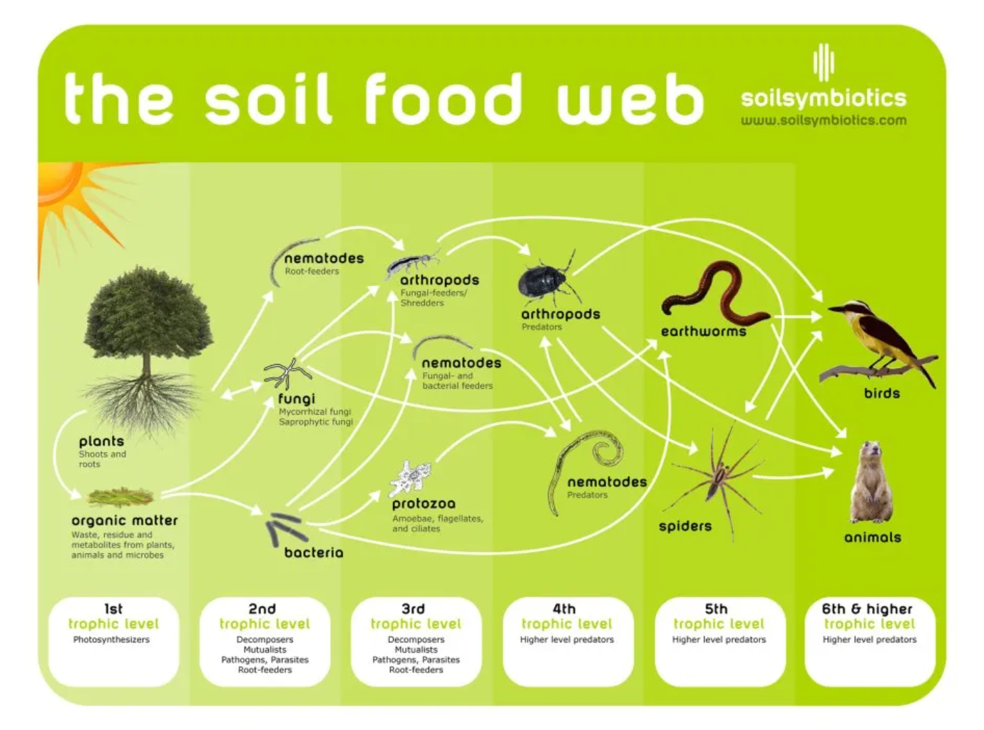 Better Understanding Your Soils Nutriet Cycle: The Key to Healthier Plants