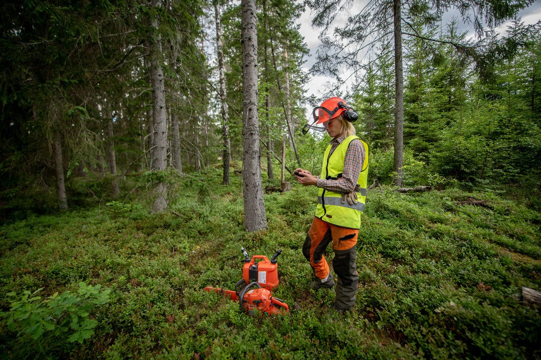 Forest Resource Inventory & Data Collection Methodologies